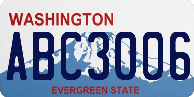 WA license plate ABC3006