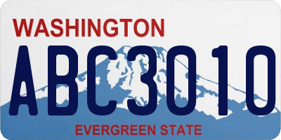 WA license plate ABC3010