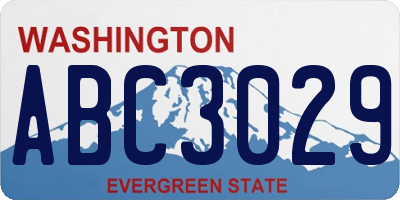 WA license plate ABC3029
