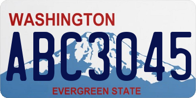 WA license plate ABC3045