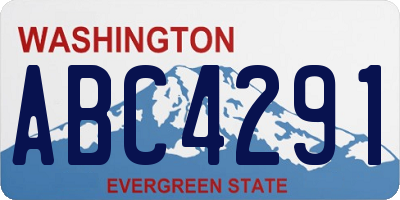 WA license plate ABC4291