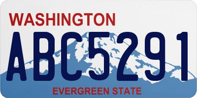 WA license plate ABC5291