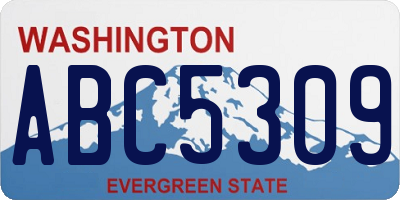 WA license plate ABC5309