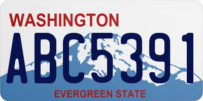 WA license plate ABC5391