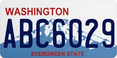 WA license plate ABC6029