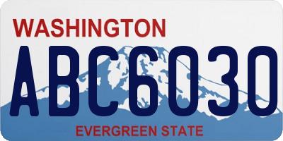 WA license plate ABC6030