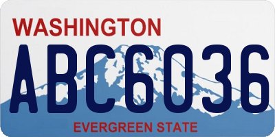 WA license plate ABC6036