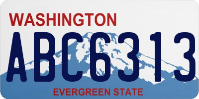 WA license plate ABC6313