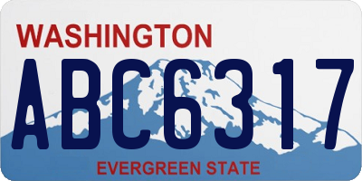 WA license plate ABC6317