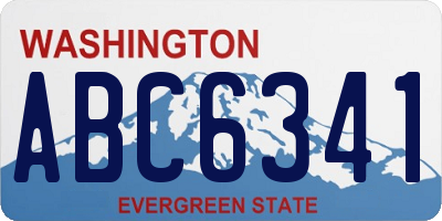 WA license plate ABC6341