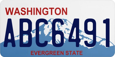 WA license plate ABC6491