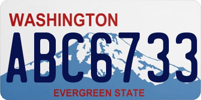 WA license plate ABC6733