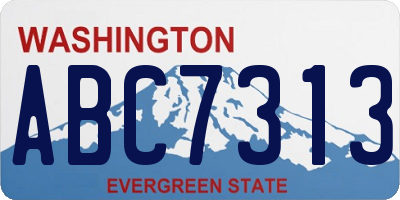 WA license plate ABC7313