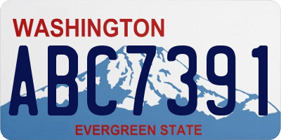 WA license plate ABC7391