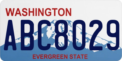 WA license plate ABC8029