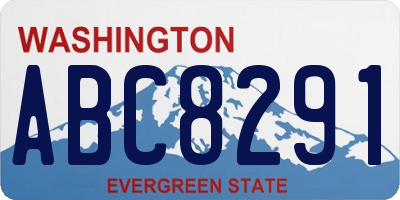 WA license plate ABC8291