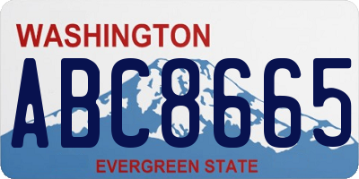 WA license plate ABC8665