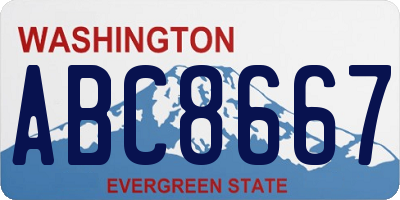 WA license plate ABC8667