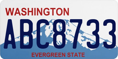 WA license plate ABC8733