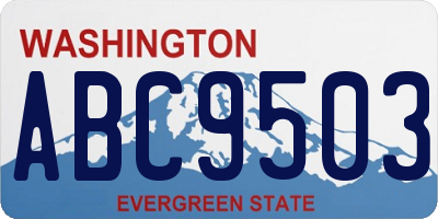 WA license plate ABC9503