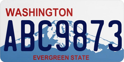 WA license plate ABC9873