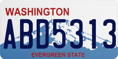 WA license plate ABD5313