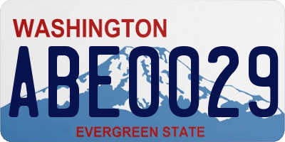 WA license plate ABE0029