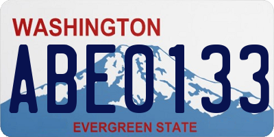 WA license plate ABE0133