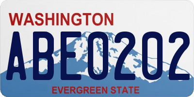 WA license plate ABE0202