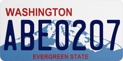 WA license plate ABE0207