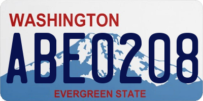 WA license plate ABE0208