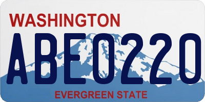 WA license plate ABE0220
