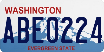 WA license plate ABE0224
