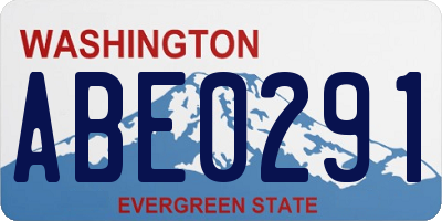 WA license plate ABE0291