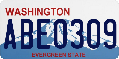 WA license plate ABE0309