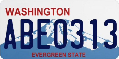 WA license plate ABE0313