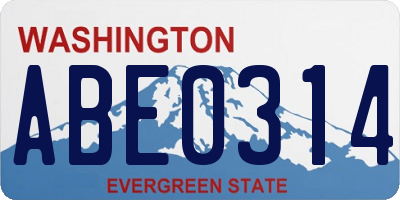 WA license plate ABE0314