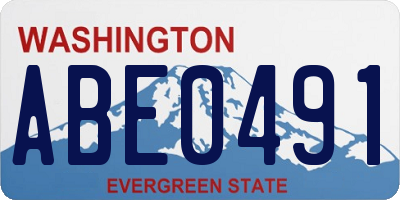 WA license plate ABE0491