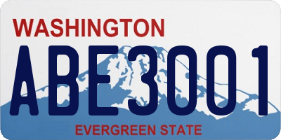 WA license plate ABE3001