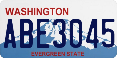 WA license plate ABE3045