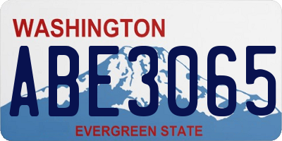 WA license plate ABE3065
