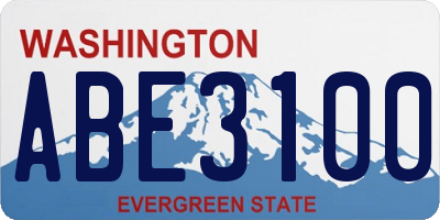 WA license plate ABE3100
