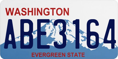 WA license plate ABE3164