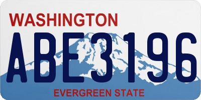 WA license plate ABE3196