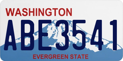 WA license plate ABE3541