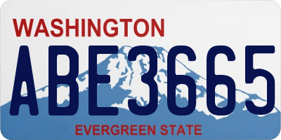 WA license plate ABE3665