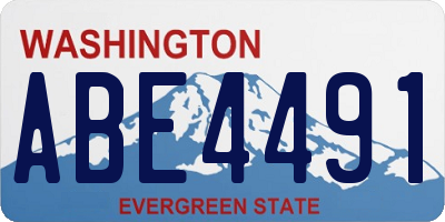 WA license plate ABE4491
