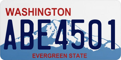 WA license plate ABE4501
