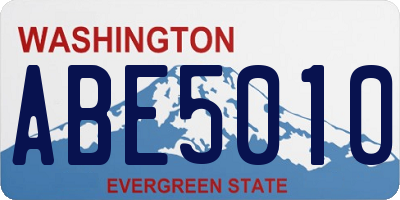 WA license plate ABE5010