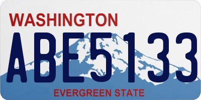 WA license plate ABE5133